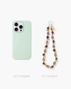 Rosevelt Phone Charm