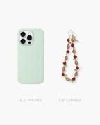 Rosevelt Phone Charm